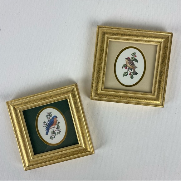 Vintage Set of Bird Pictures